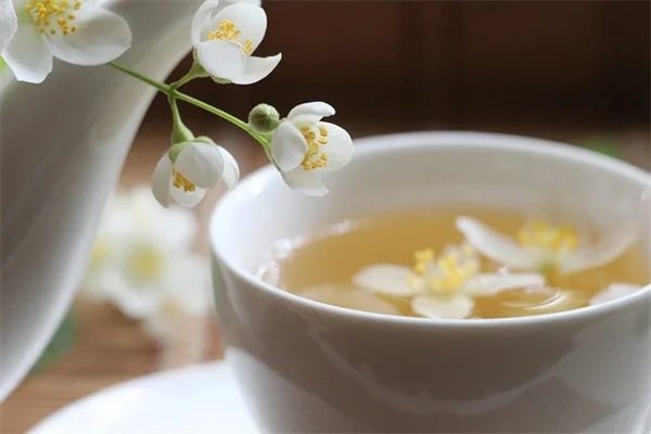 球根ワイルドフラワーで失敗しない！5つのコツを経験者が伝授