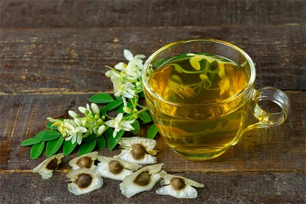 【獣医師監修】うさぎが食べてはいけない危険な植物一覧｜観葉植物・野草