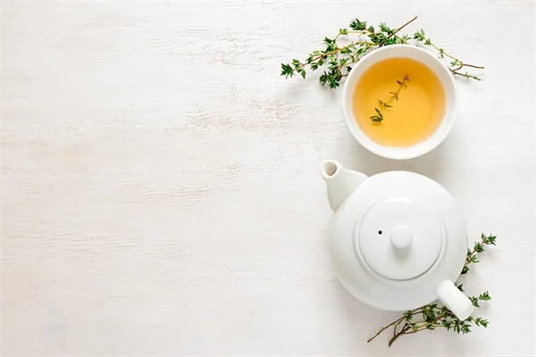 誕生月の鳥を知ってる？12の象徴と魅力を徹底解説