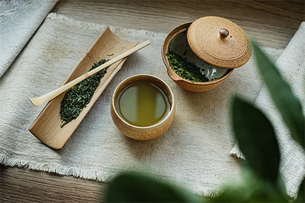 あなたの家にもあるかも？高額で取引される観葉植物7選