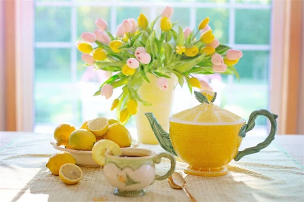 紫陽花の花言葉を文化と色で解説！私の育て方コツも公開