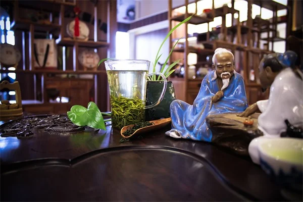 モクレンの剪定で最大の失敗は？植える場所で決まる成功のコツ