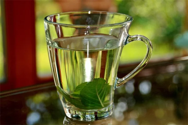 木の根っこが水を吸う仕組みとは？